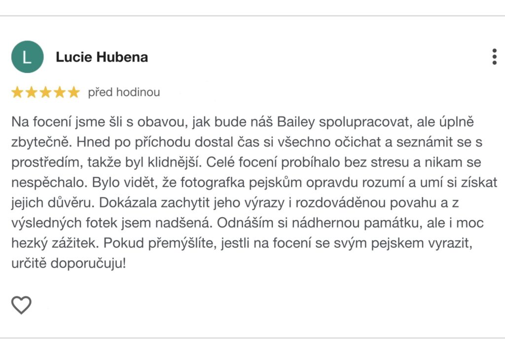 Focení psů Praha. Recenze, doporučení.
